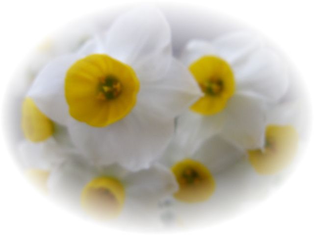 心根〜こころね。