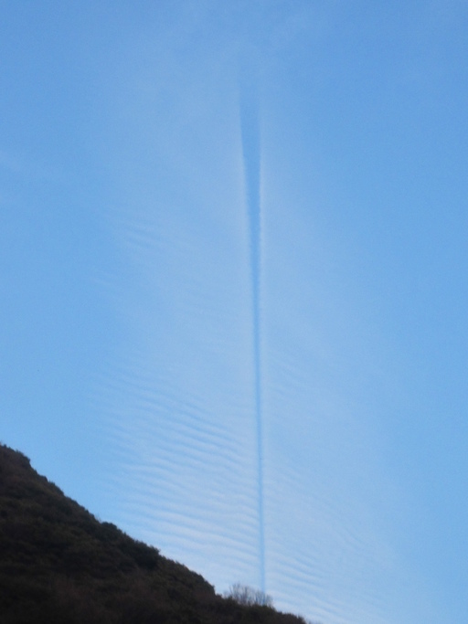 天空へ・・・。