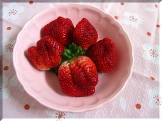 苺の季節〜クイーンレッド。