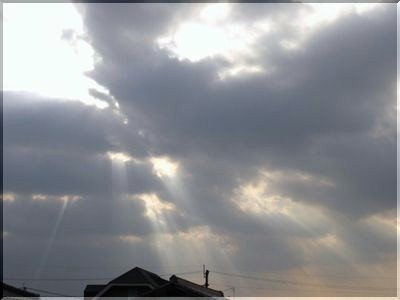 ＜東雲〜しののめ＞