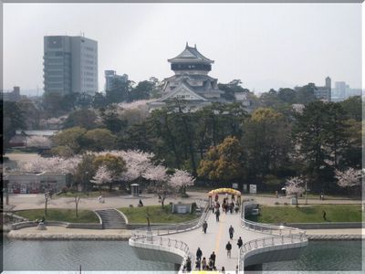 ◇桜日記◇　紫川の桜並木と駅の...