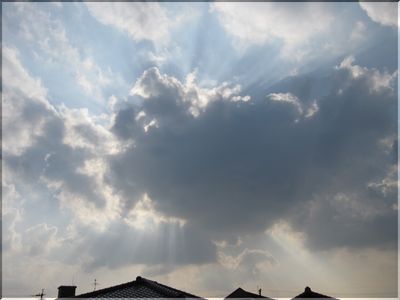春は、あけぼの・・・。