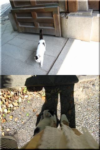 もうひとりの・・・愛しいひと？