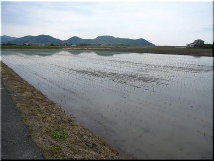 広がる新田風景。