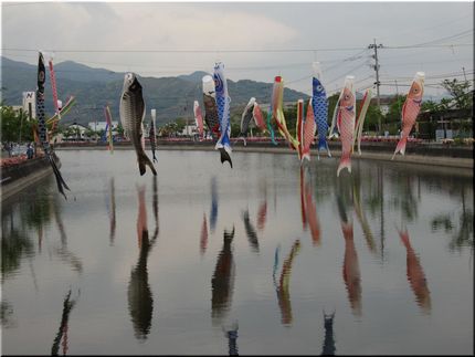 五月五日は・・・鯉のぼり。