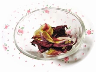 春の香り・・・。