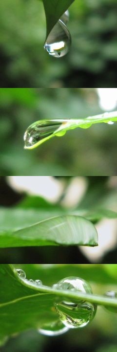 硝子細工に魅せられて・・・。
