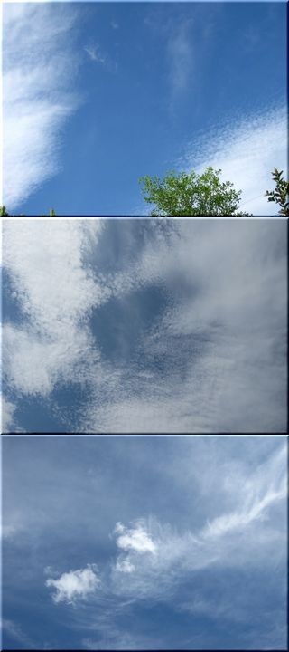 遠い記憶・・・。