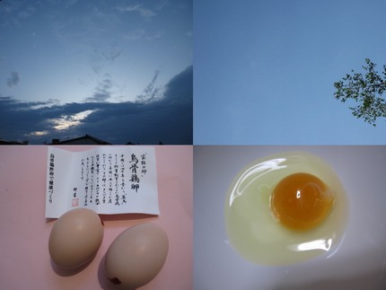 究極の卵・・・