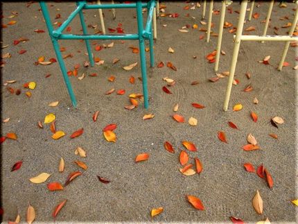 紅桜・・・はらりと！