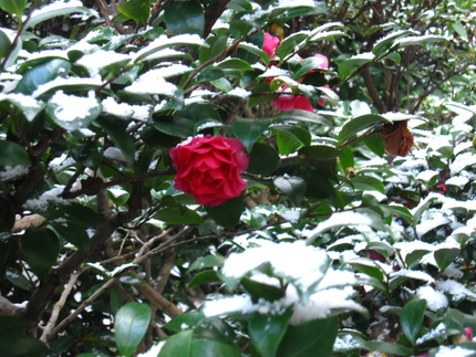雪の大晦日