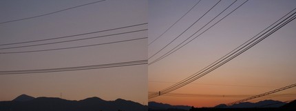 夕の光を反射して