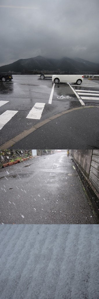 ふるふるはるると・・・春の雪が...