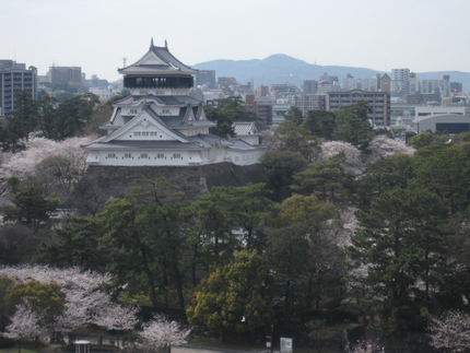 昨年はあなたと、今年はわたしひ...