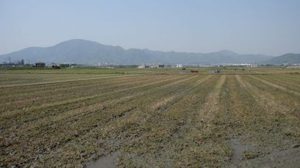 懐かしの田園地帯