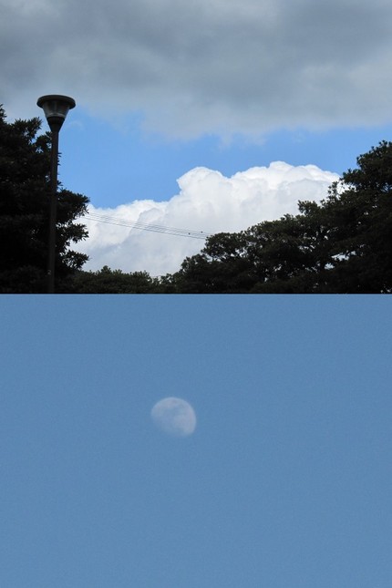 空色の分かれ目と今宵の宵月(十...