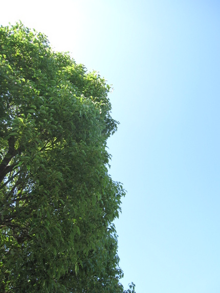 空・空・空