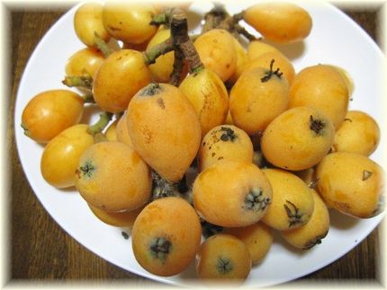 水無月からの贈り物