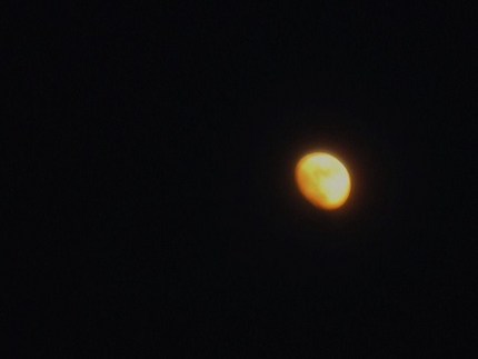 明日は十三夜