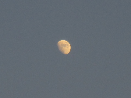 晴れたら・・・夕方のお月さまを