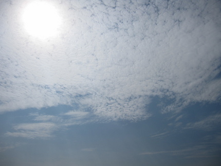 室温３１．８℃