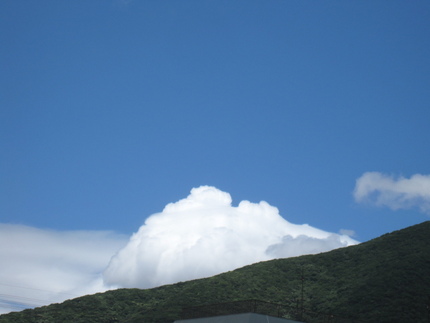 青空に蝉しぐれ・・・蝉かと思え...