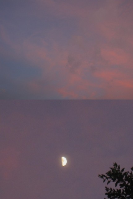 紫だちたる夕空に上弦の月