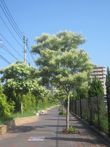 強烈です!!