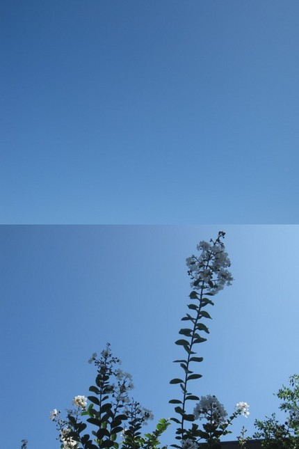 光と陰