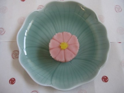 おちゃのじかん〜【秋桜】