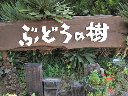 Slow Resort ぶどう...