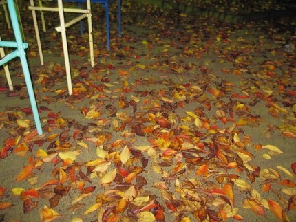 雨上がりの夜の公園で
