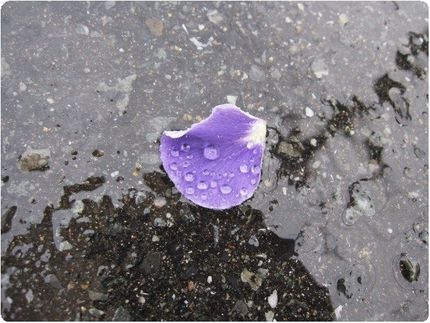 雨の忘れもの