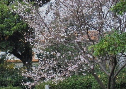 嵐の前に・・・