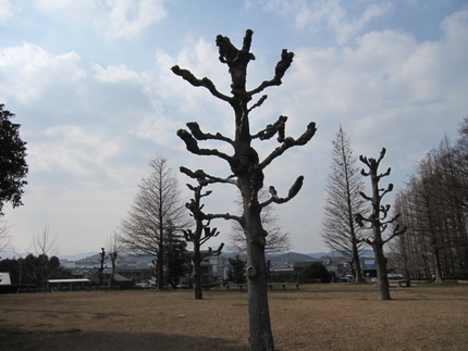 トーテムポール