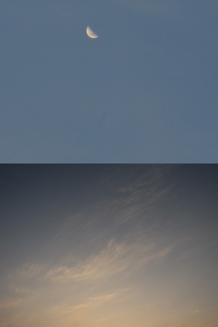 ３月１３日