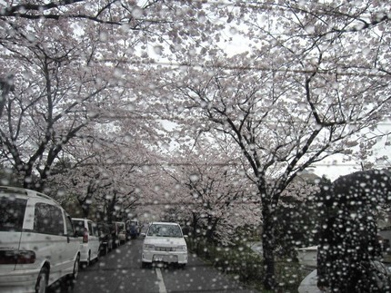 雨の入学式