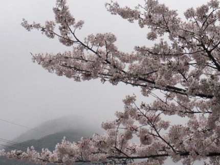 花の宴