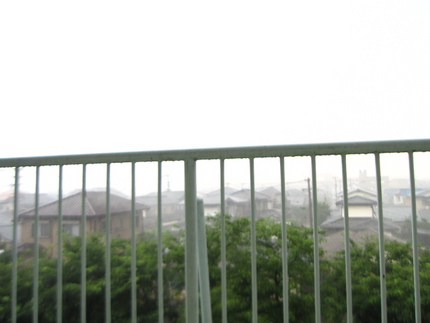 檻の中から