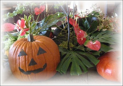 ☆Happy Hallowee...