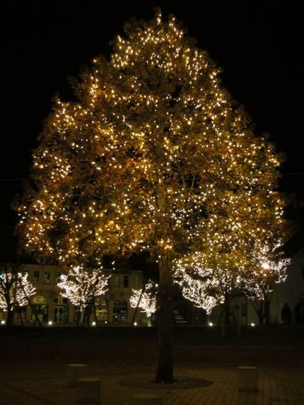 ☆　Merry　Merry　☆...