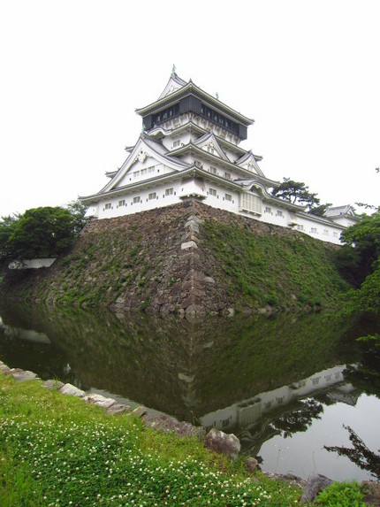 クローバーに囲まれた今日の小倉...