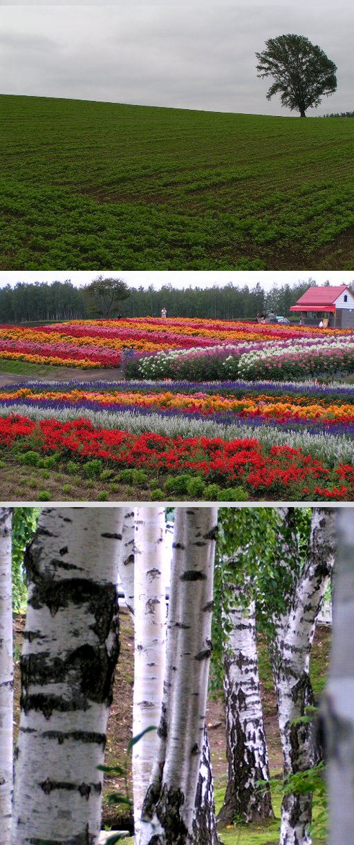 2007年9月　北海道（４／５...