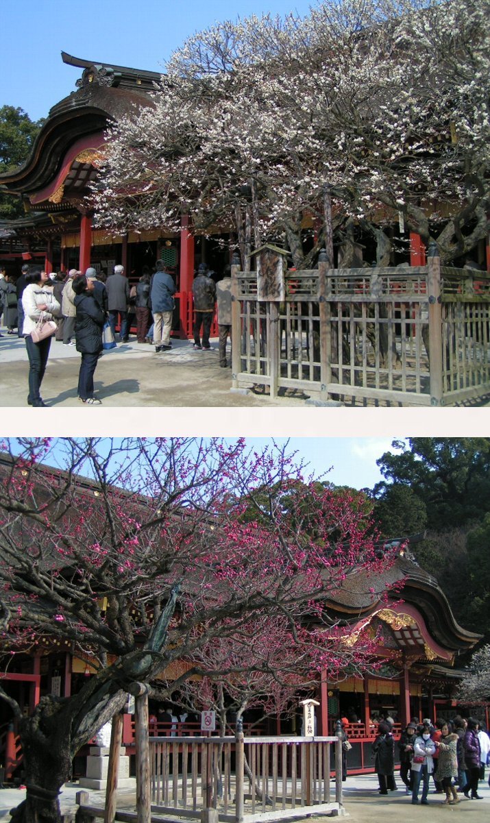 2008年2月　福岡県　大宰府...