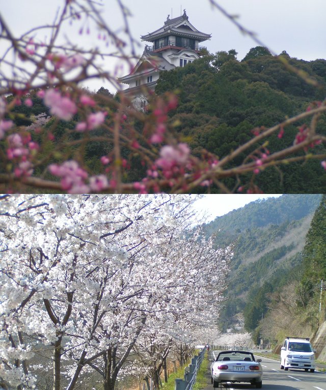 四万十も春です。2008/04...