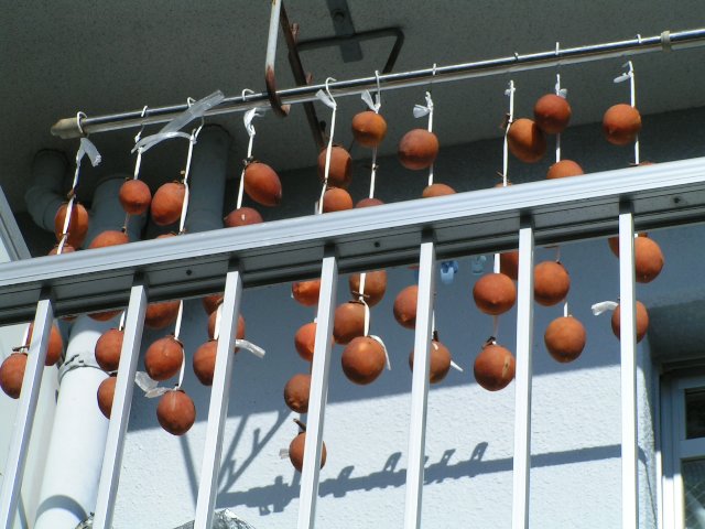 干し柿になるか？