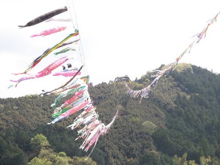 四万十川の鯉のぼり (２００９...