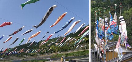 四万十の鯉のぼり　（2009/...