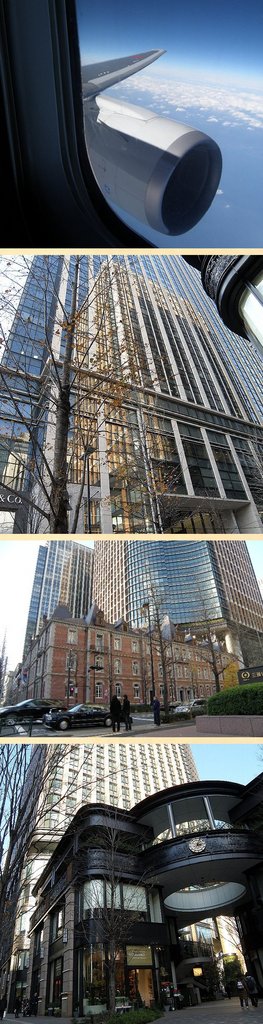 今年最後の報告（その１）２０１...