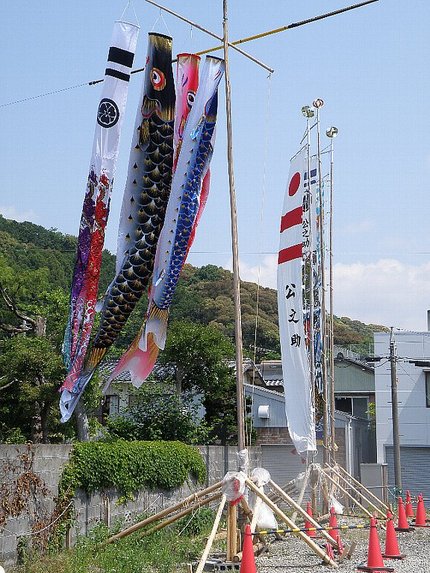 鯉のぼり